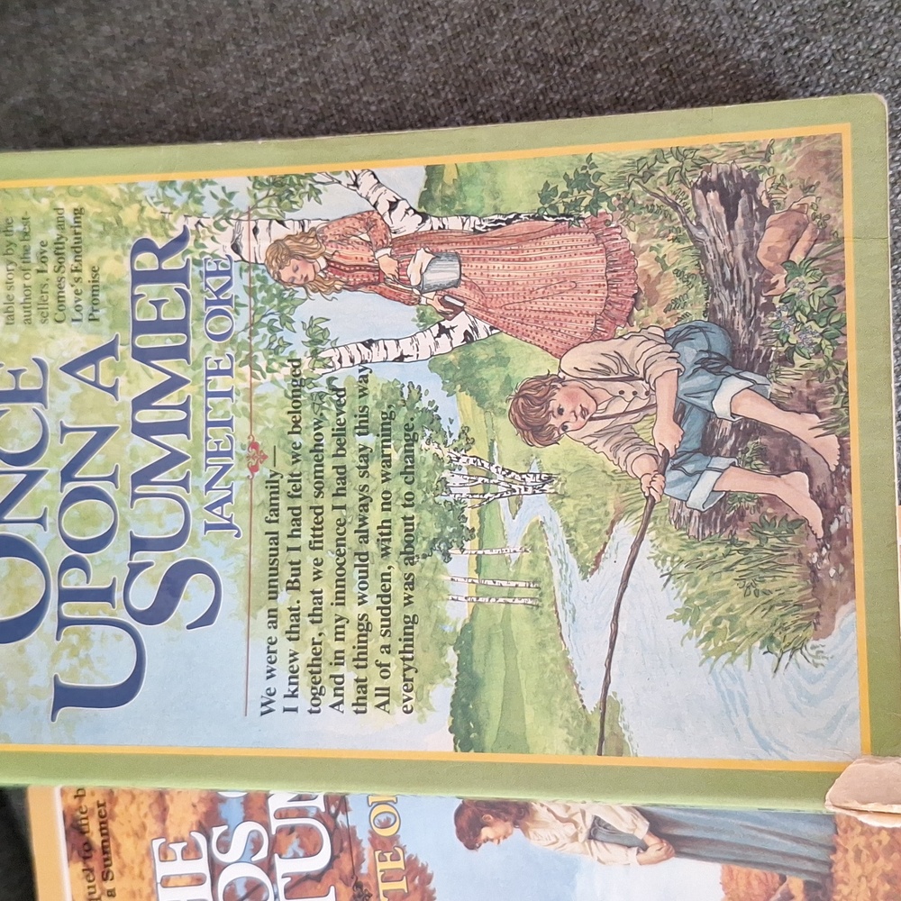 Book Collection - Multicolor Covers - Picture 2 of 5